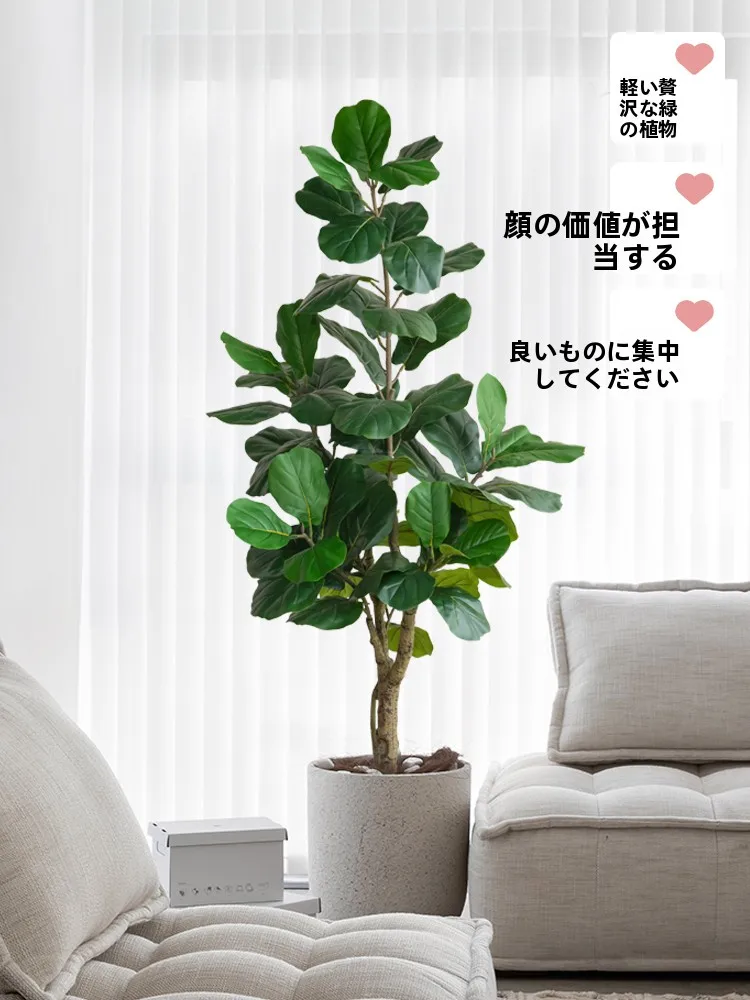 フル活用した節約生活の完全ガイド｜アイテム1つで複数の場所に活用
