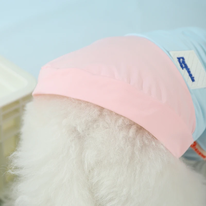 一人暮らし向け猫用夏用トップス：通気性と脱毛防止の実用性を検証