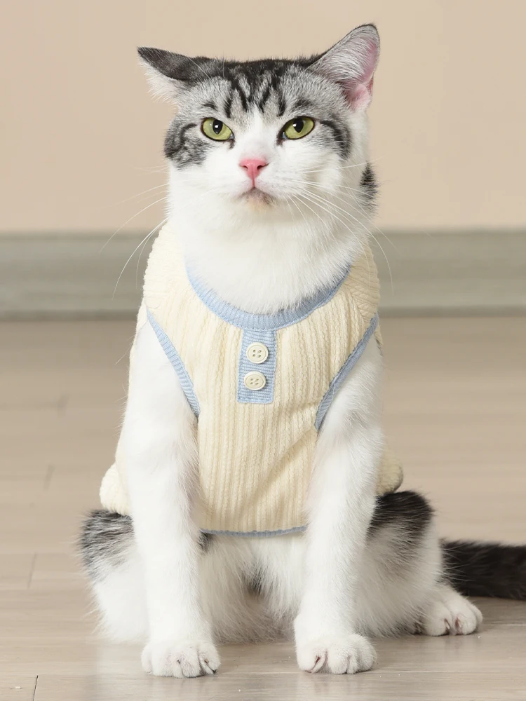 猫飼いが買ってよかったもの・悪かったもの正直に言う | 秋冬用猫用防脱毛ニットセーターの実際の効果