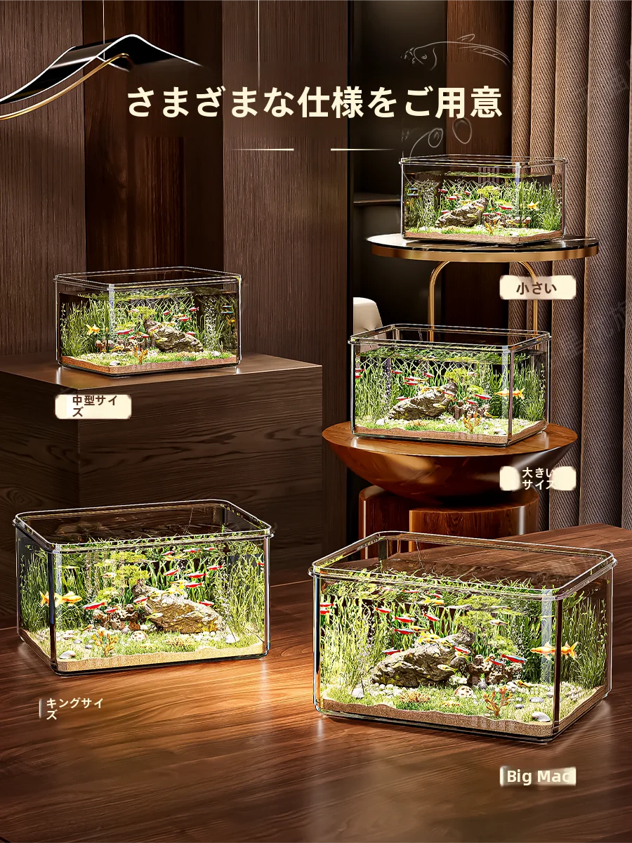 メダカ稚魚飼育に適した小型アクリル水槽の選び方と実際の運用ガイド