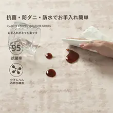 和モダンデザインのラグ【防水・防汚・洗濯不要・リビングや寝室用】