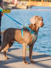犬用ハーネス【アウトドア・引っ張り防止・ペット用リード付き】