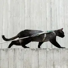 猫用 ハーネス【調整可能・通気性・脱走防止】（セットアップ対応）