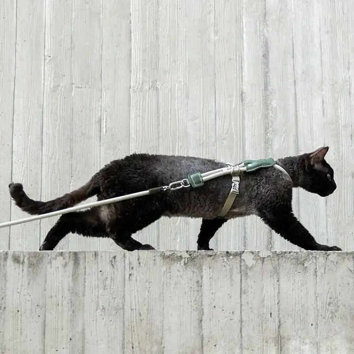 猫用 ハーネス【調整可能・通気性・脱走防止】（セットアップ対応）