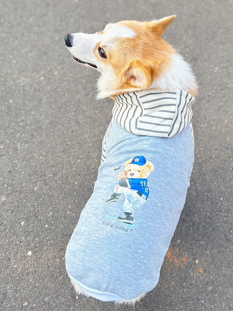 中型犬用フード付きペットウェア【春用・快適な着心地】の選び方と実用性