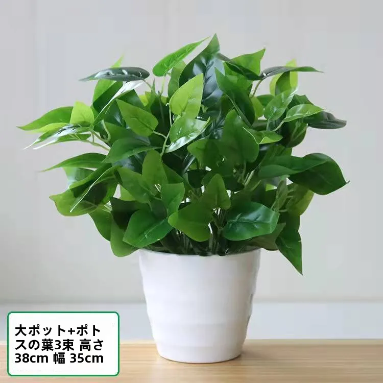 見つけたデイリー雑貨まとめ 完全ガイド｜インテリアと暮らしの質を高める選び方