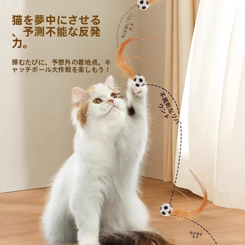 ソフトなトゥチャー ボール：極上の柔らかさが腰痛ケアに与える実証的効果
