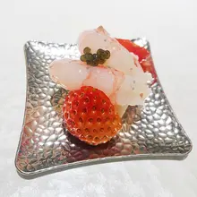 フレンチスタイルのミニサイズ分子料理皿【乾燥果物・フルーツ・デザート用・創造的な四角形デザイン】