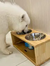 大型犬用304不锈鋼製二重犬用食器【防転倒・首保護・大容量】（セットアップ対応）