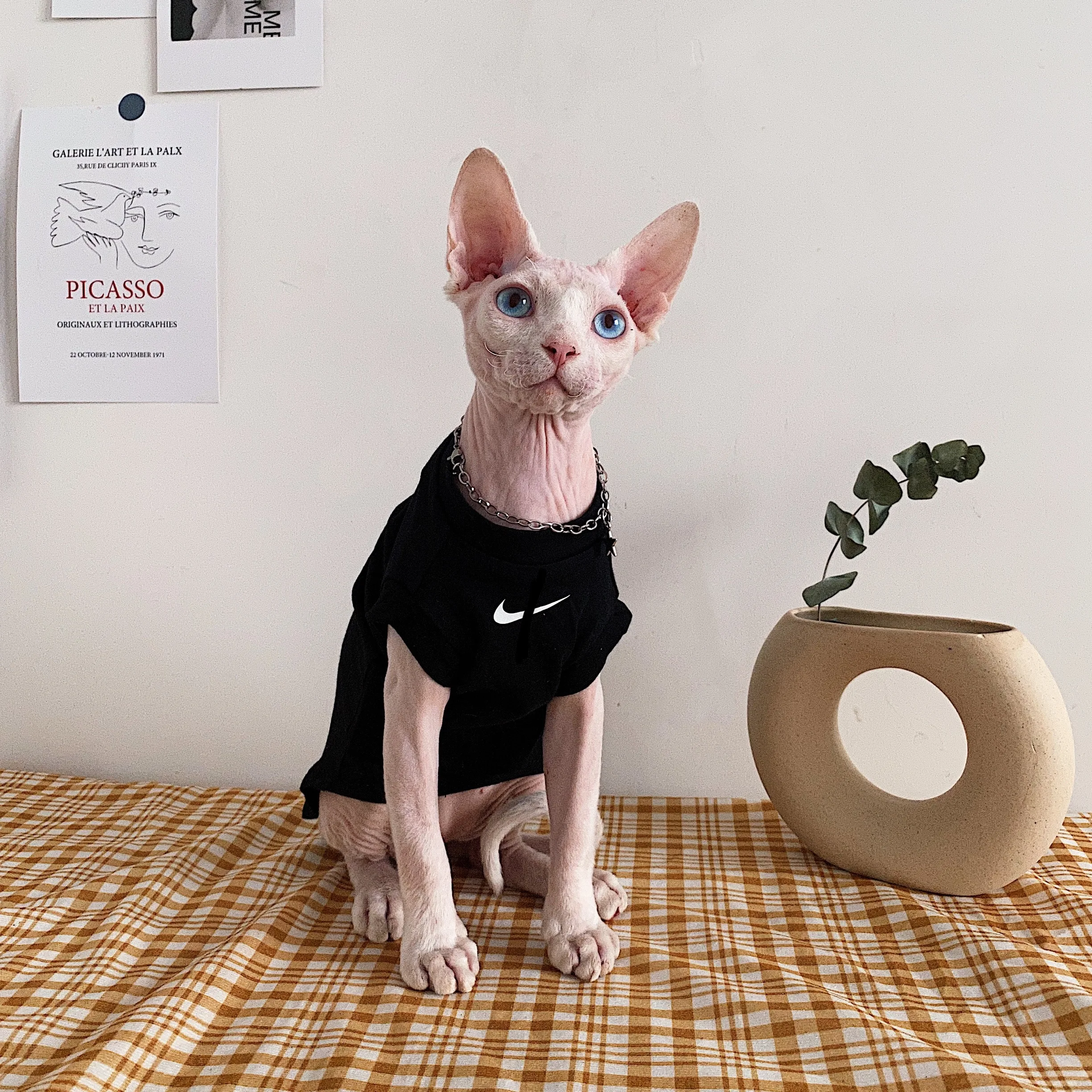 無毛猫用Tシャツ：一人暮らしに最適なカジュアルスタイルの選択肢
