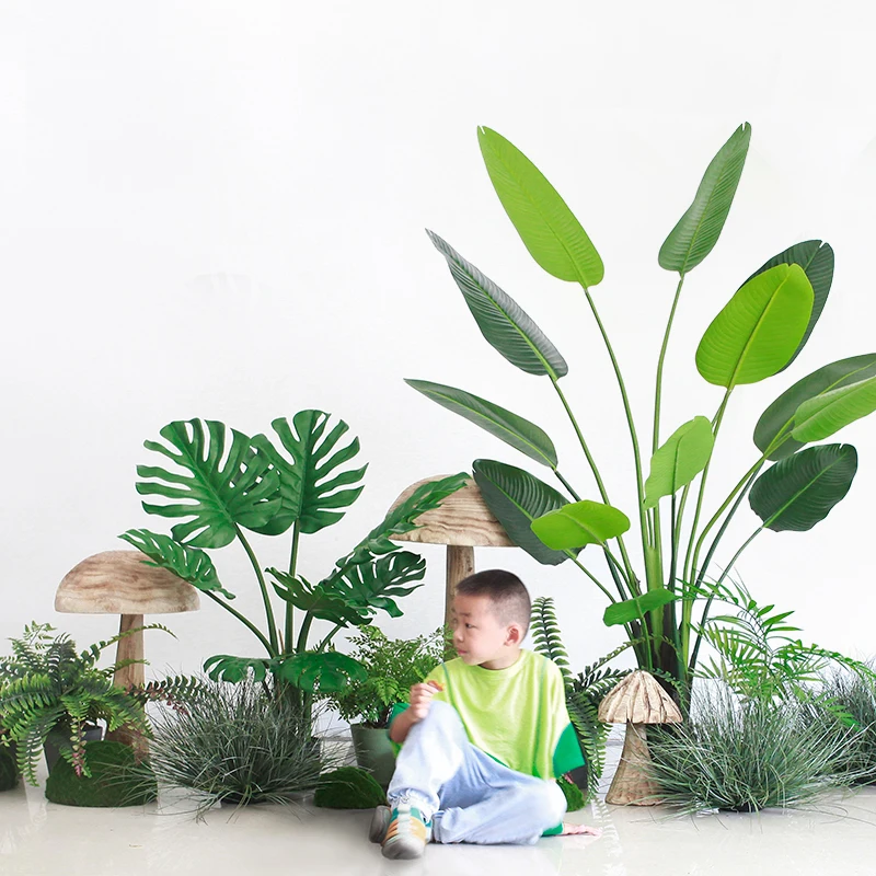 大きな観葉植物 バナナツリー：インテリアに最適な3Dデザインと高さの選定ガイド