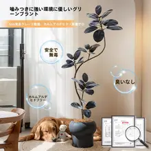 リアルなフェイクグリーン！ラバーリーフツリー【室内用・大型リビング装飾・ソファ横用】