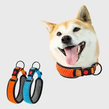 中型犬用 ペットカラー【ラブラドール・ゴールデンレトリバー・ボーダーコリー対応・リード付き】