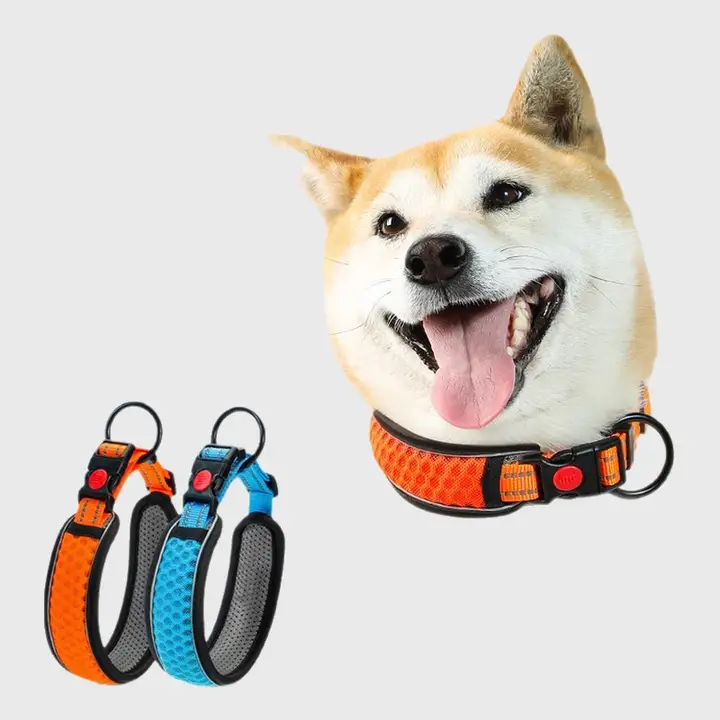 中型犬用 ペットカラー【ラブラドール・ゴールデンレトリバー・ボーダーコリー対応・リード付き】