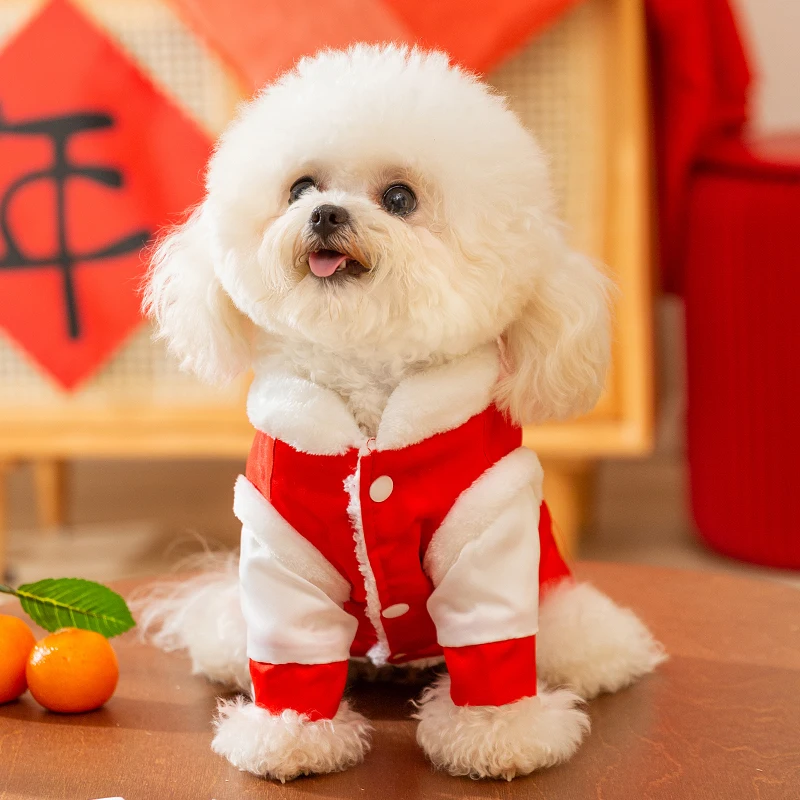 犬用衣服 テディ・シュナウザー キャップルコスチューム ドレス ドレススタイル