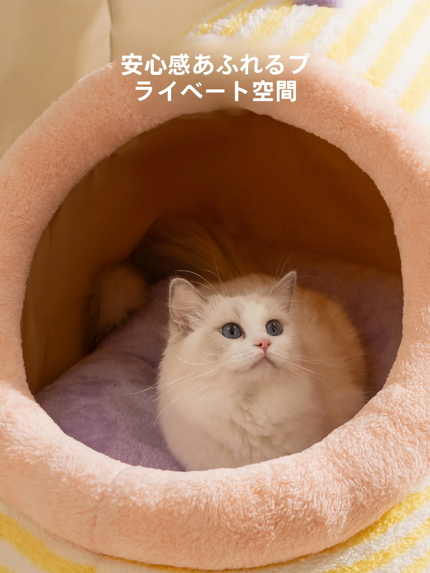猫柵に頼る前に、冬の寒さに負けない“キャットハウス”を選ぶべき理由は？