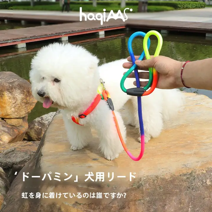 グラデーションレインボー犬リード【小型犬用・ハーネス・外出用】