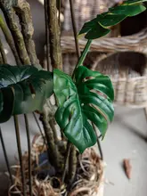 大型リアルグリーン植物 モンステラ【インテリア用・室内用・飾り用】