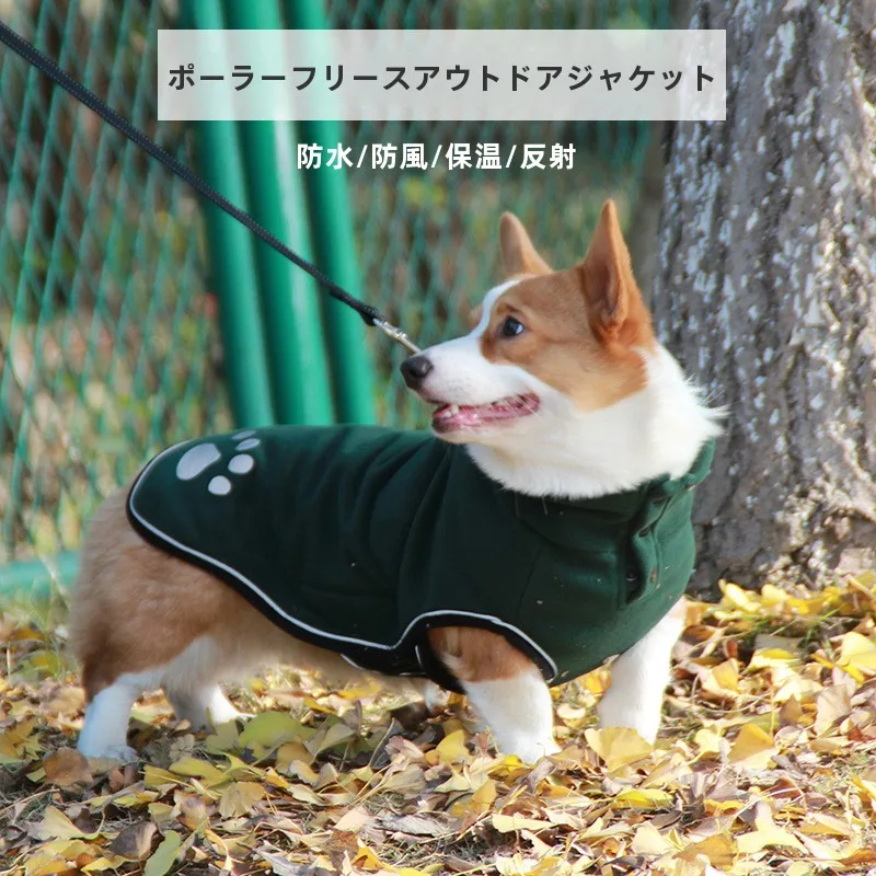 犬のお散歩グッズをコスパ良く揃える方法｜厚手アウトドアジャケットの選び方と実際の使い方