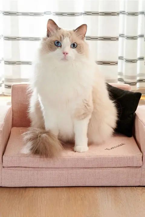 猫用ソファベッド【オールシーズン・秋冬用・クッションタイプ・ペット用品】