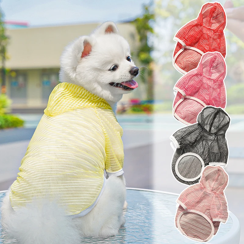 犬用メッシュシャツ：夏用通気性と日焼け防止の実用性を検証