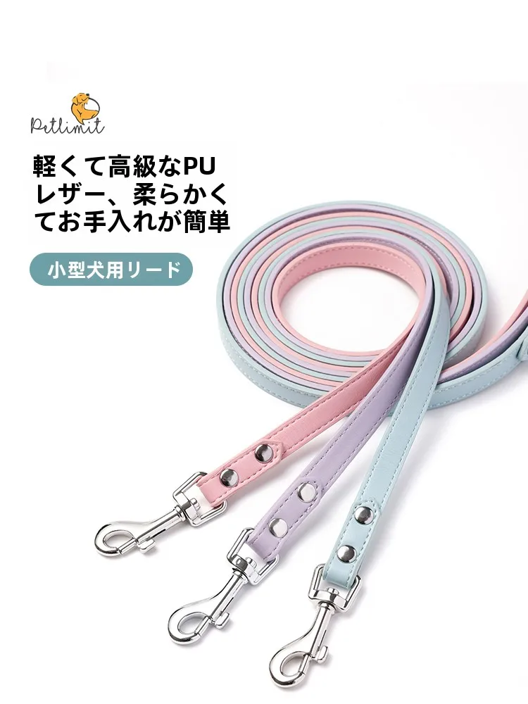 犬のお散歩グッズをコスパ良く揃える方法　完全ガイド