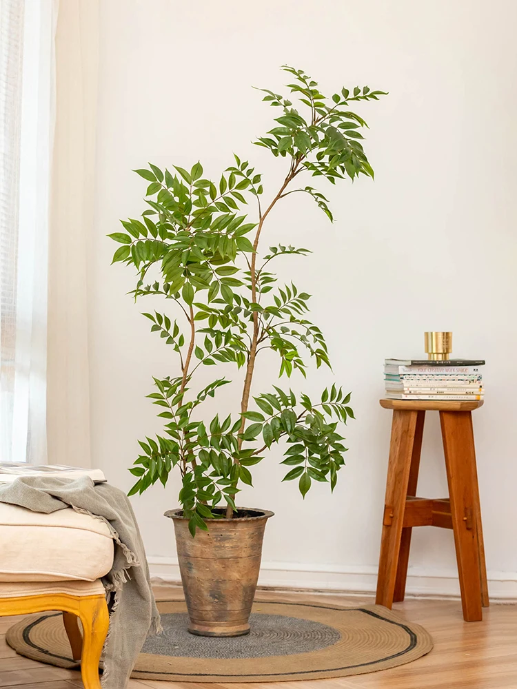 デコレーション キラキラ と ポスト 観葉植物 の違いは？リアルな観葉植物風 黄天竺が部屋を彩る方法とは？