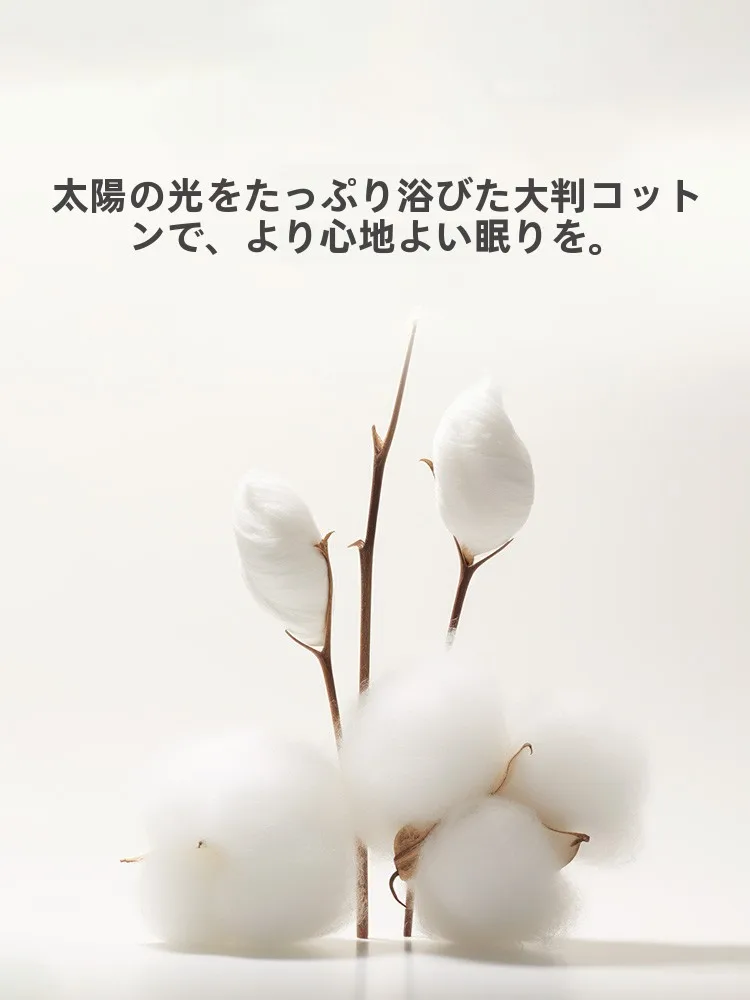 一人暮らしの夏場にぴったり？ひんやり掛け布団の選び方と、軽量で洗えるタイプのベストな活用法は？