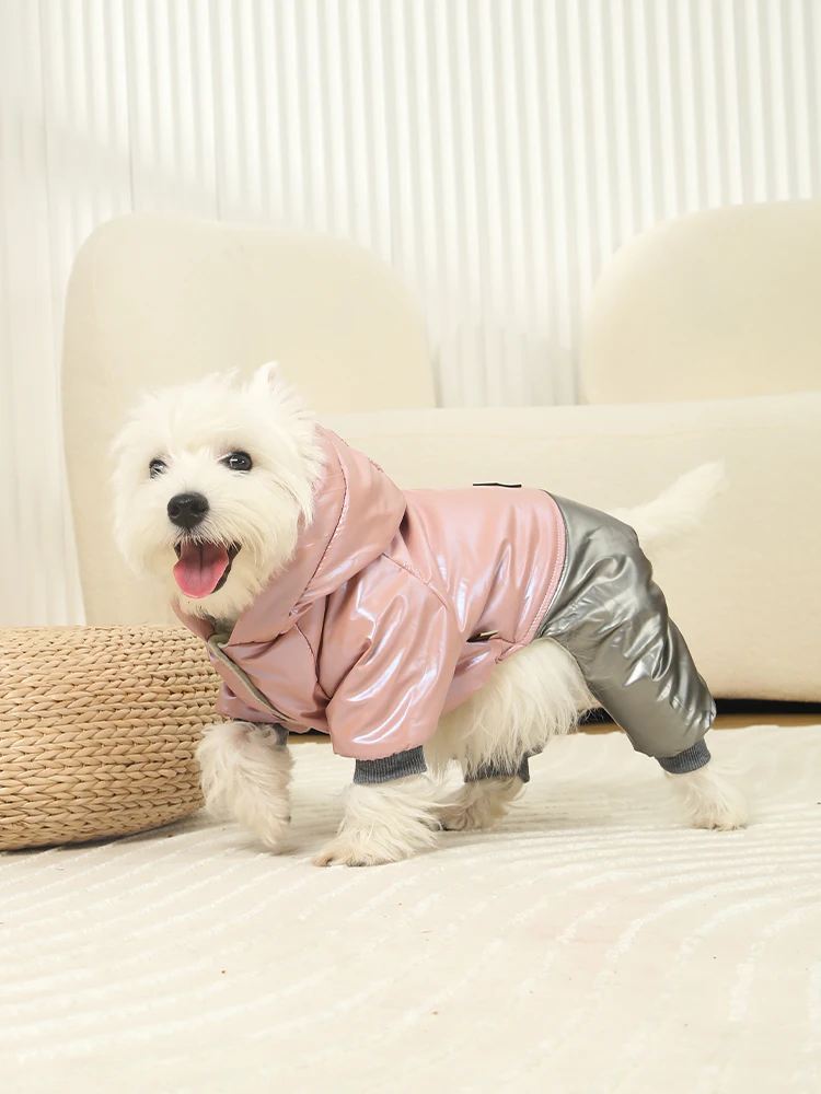 犬のお散歩グッズをコスパ良く揃える方法 - 冬用厚手コートの保温性能とサイズ選定ガイド