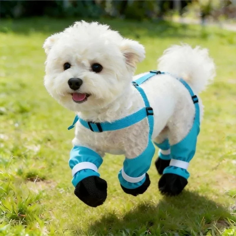 犬の散歩服装 おすすめ：雪狮の防水四脚パンツが夏の外出に最適