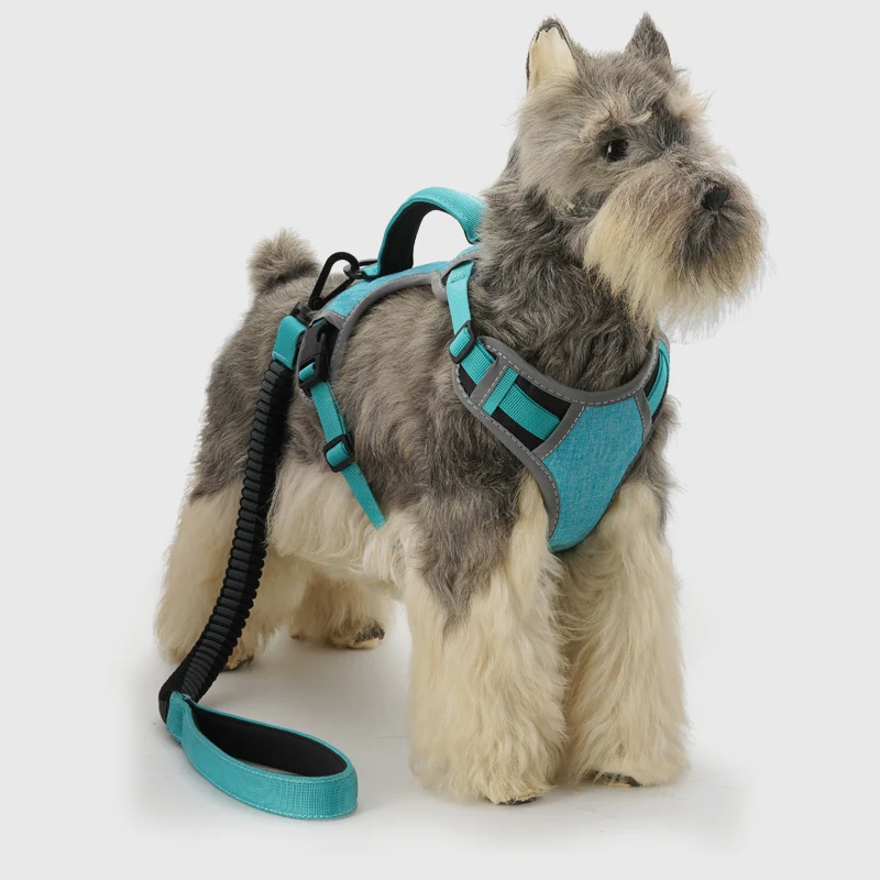 犬のお散歩グッズをコスパ良く揃える方法｜反射素材付きハーネスの実測ガイド