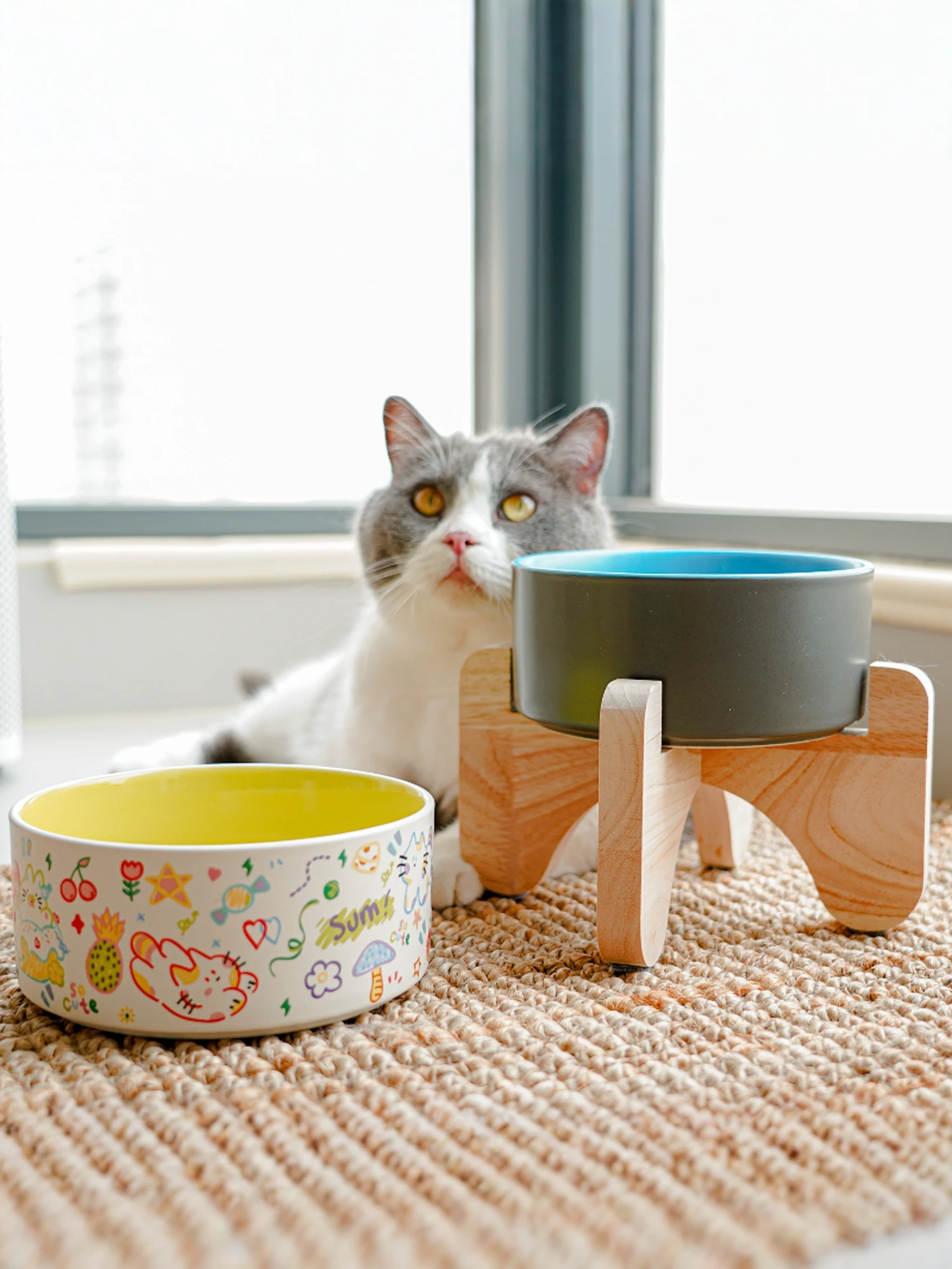 ペット用陶器製猫用フードボウルスタンドの選び方と実際の使い方