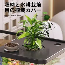 小型エコ水槽【デスク用・循環式・酸素供給】
