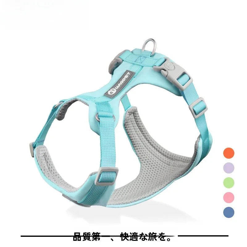 犬のお散歩グッズをコスパ良く揃える方法　通気性とデザインのバランスを徹底解説