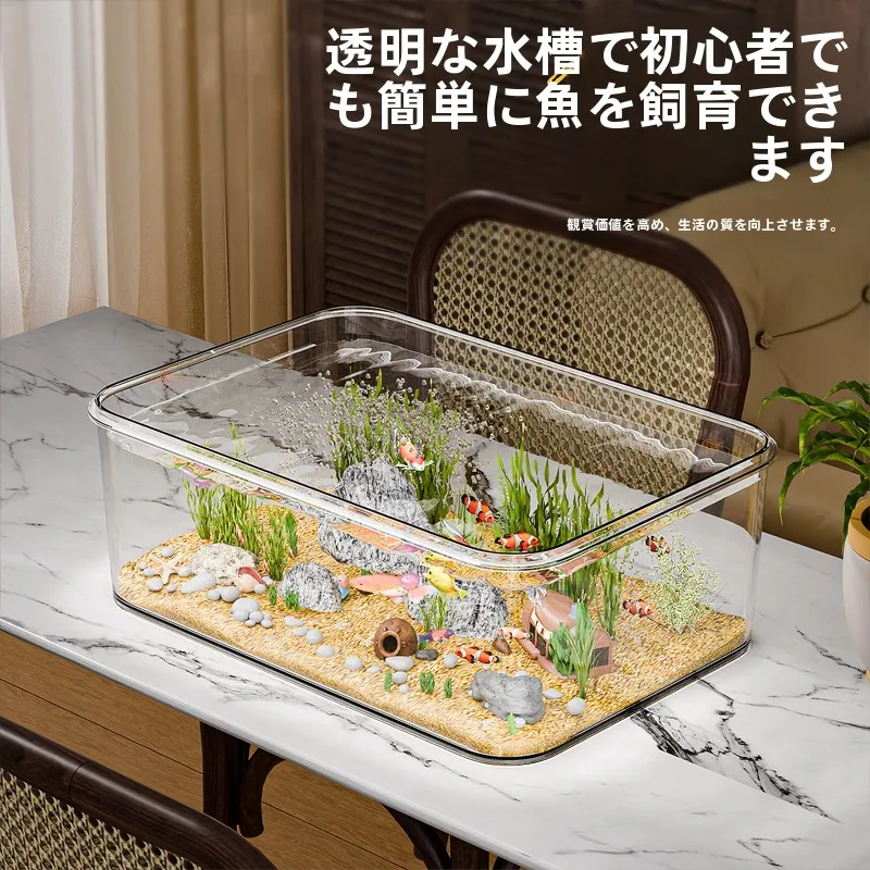 ベタ用水槽を選ぶときに迷うのは、本当に「水質」なのか？
