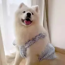 ペット犬用夏用フレッシュデザインのスカート【サモエドやラブラドールに対応】