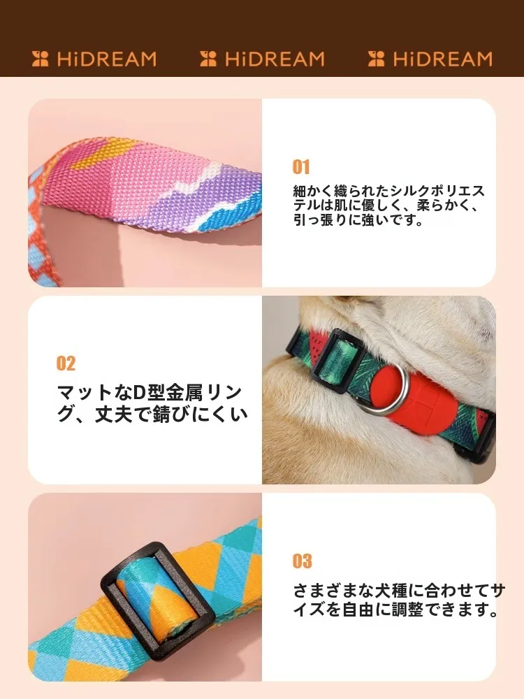 犬の首輪とリードセットを選ぶべきタイミングは？