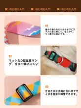 犬用首輪とリードセット【小型から大型犬用・コーギー・フレンチブルドッグ・テディベア】（セットアップ対応）