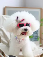 個性的なペット用サングラス【犬猫用・ハートデザイン・フォトプロップス】