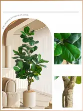 大型 カシワバゴムノキ フェイクグリーン 人工観葉植物 リビング用 装飾盆 鉢植え