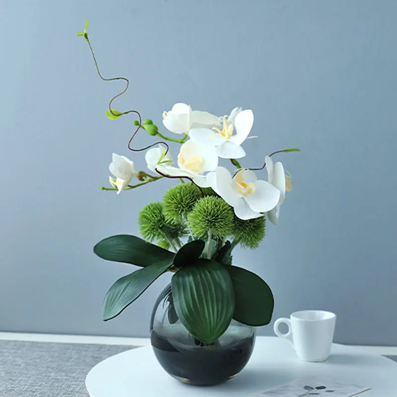 おしゃれな部屋に観葉植物を飾るなら、この1品が今最もおすすめ？