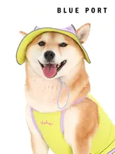 BluePort 犬用UVカット帽子【夏用・小型犬・柴犬・猫用・かわいいデザイン】
