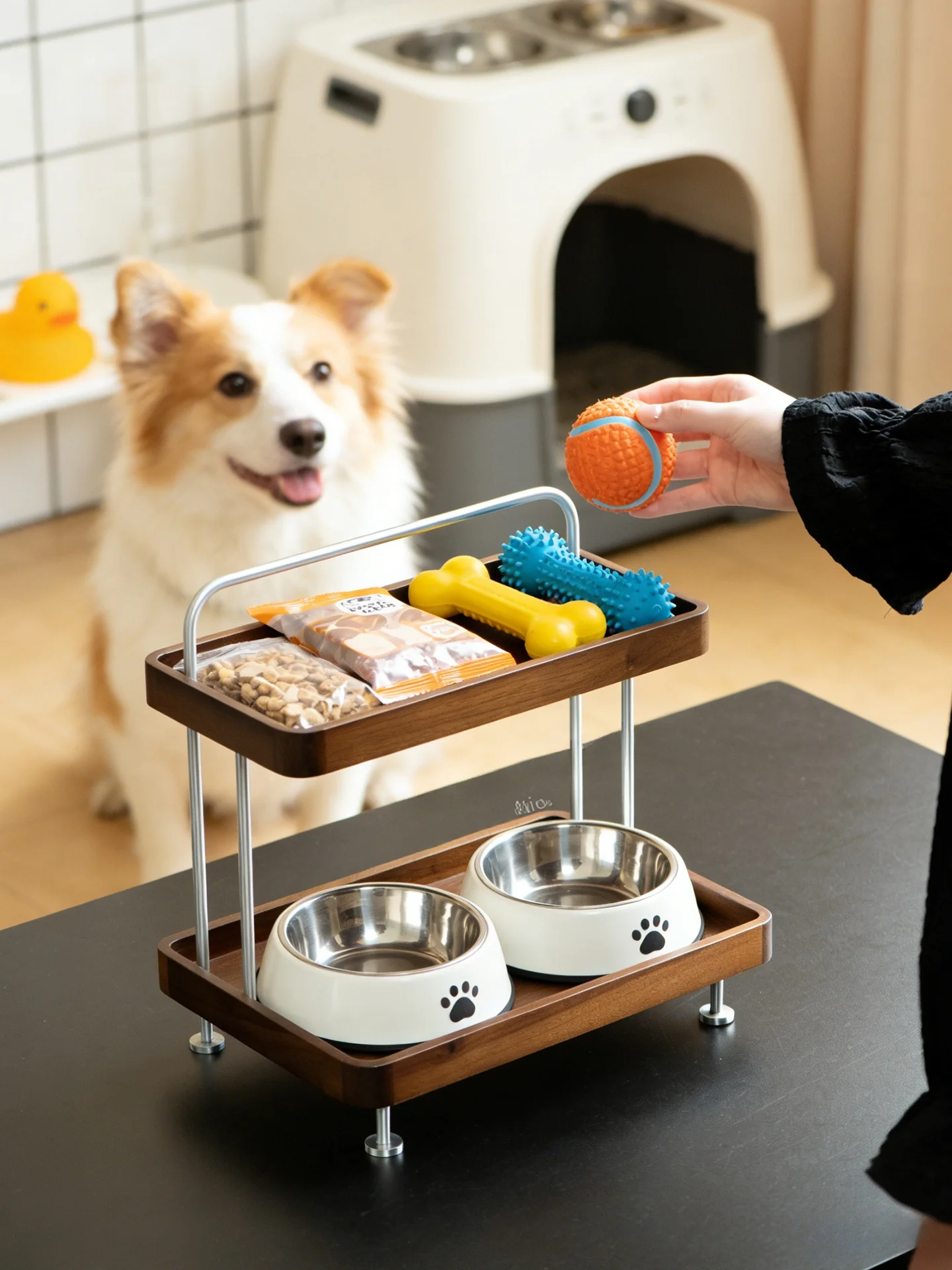 犬グッズの収納に悩むなら、この1つのアイテムが本当に救う？