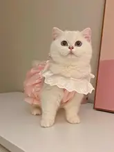 夏用 猫用可愛いワンピース【子猫用・ペット用・薄手・マカロンカラー】