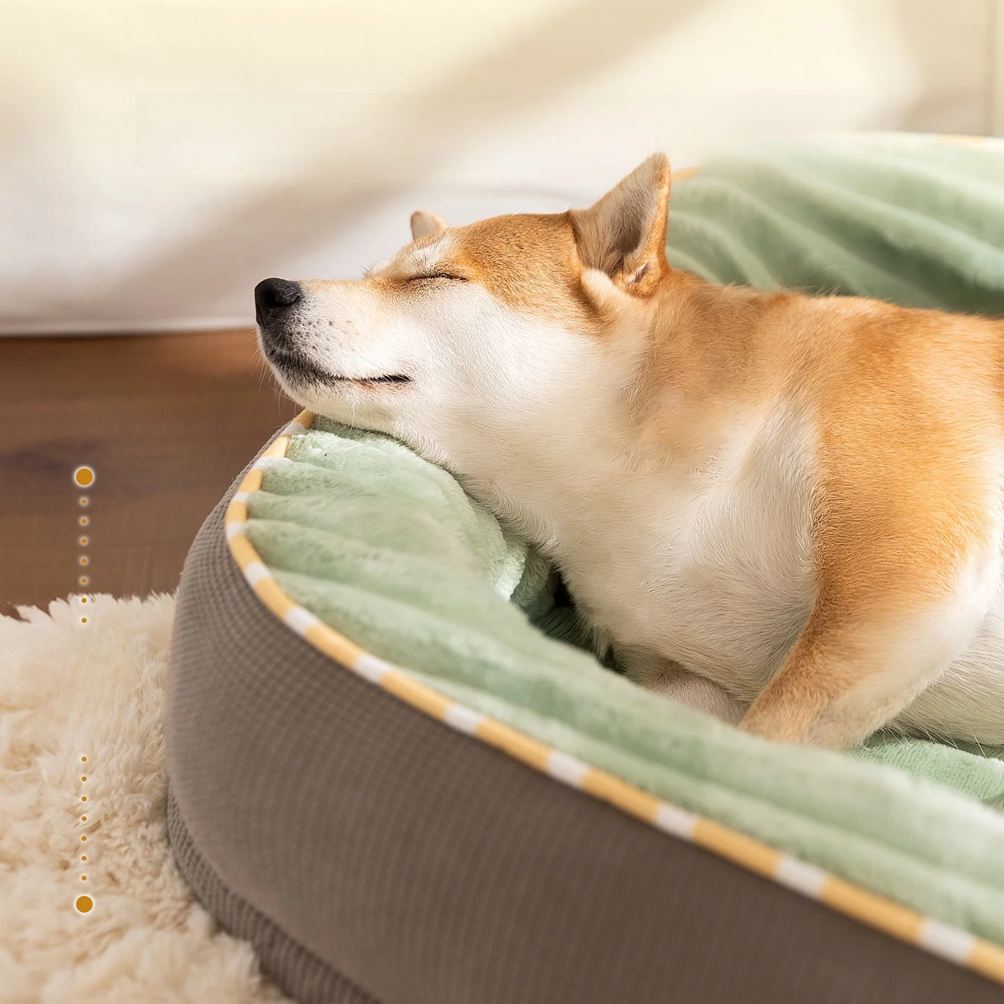 hipidog ベッドは大型犬向けの四季対応洗える寝具として信頼性を証明