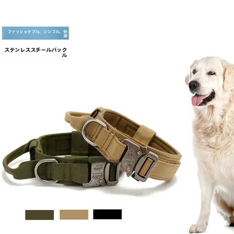 犬のお散歩グッズをコスパ良く揃える方法 - 出張用タクティカルドッグカラーの機能と特性