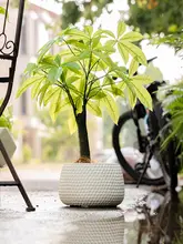 北欧風 マグネシウム泥 半手作り花鉢【軽やかさと創造性が光る陶器製・多肉植物用】