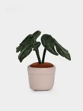 植物デザインの亀背竹の毛糸ぬいぐるみ【ギフト・誕生日にぴったり・インテリア装飾用】