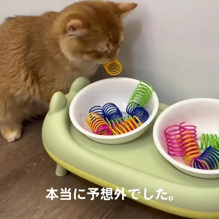 猫用おもちゃ カラフルプラスチック製スプリングキャットボール【耐噛み・子猫向け】