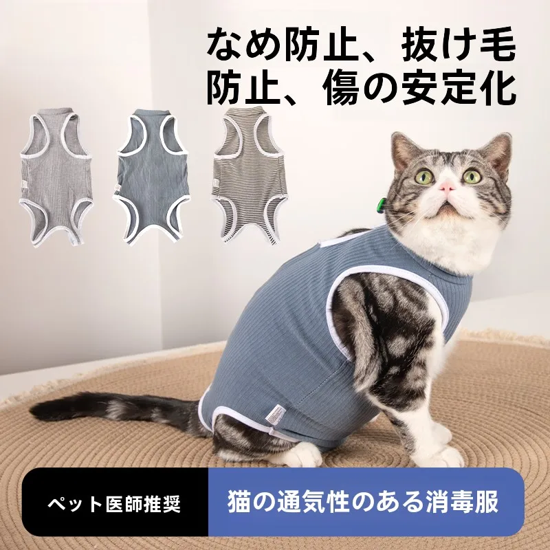 犬のお散歩グッズをコスパ良く揃える方法｜ハーネス型リードの実測ガイド